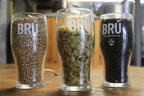 Grains & Hops used to make Craft Beer at Bru Brewing Co. in Carlingford